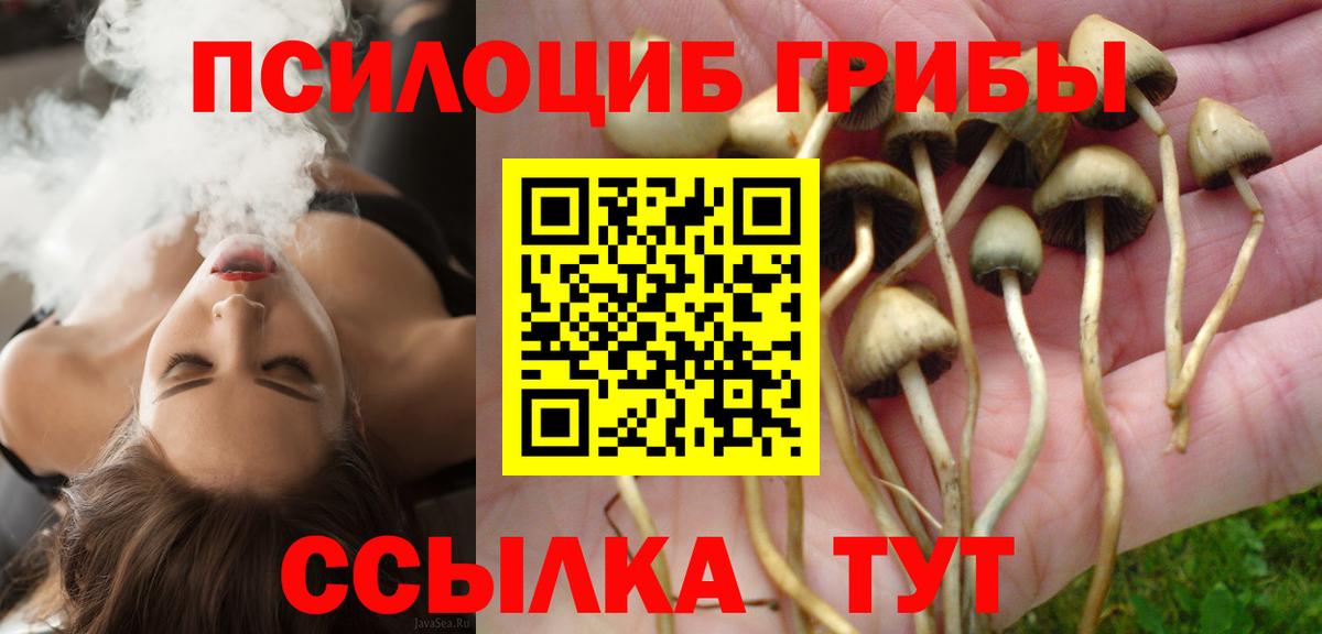 Солнечногорск  Галлюциногенные грибы прущие грибы  Вход с VPN 