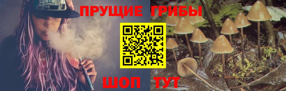 Псилоцибиновые грибы мицелий Солнечногорск